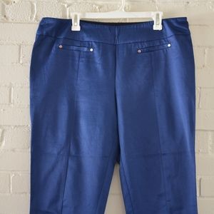 Zac&Rachel Stretchy Capri Pants Blue 14